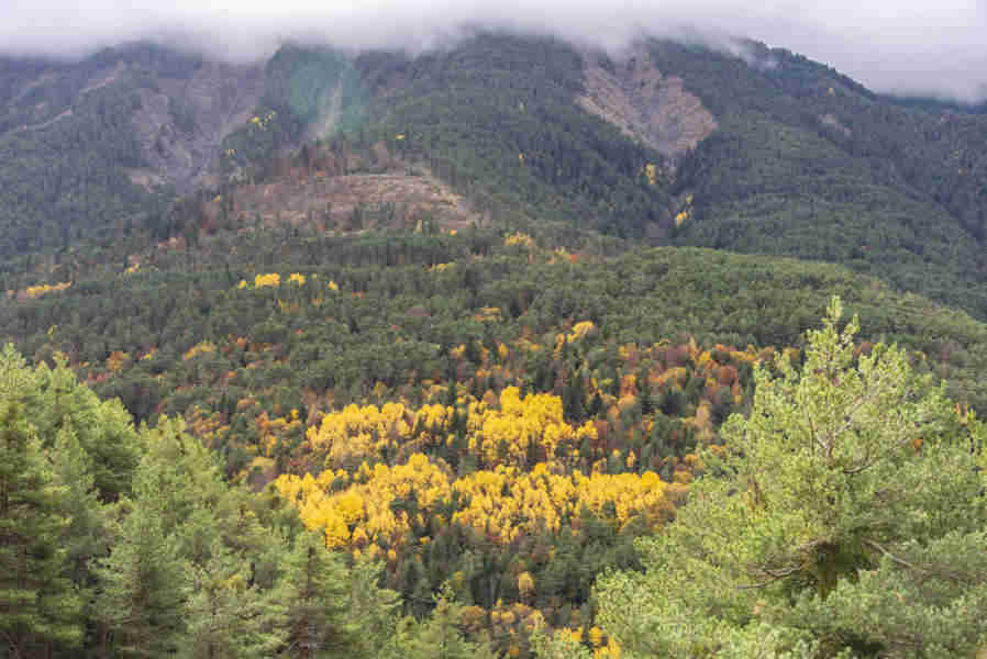 Huesca - valle de Broto 3.jpg